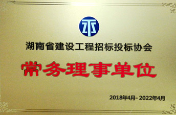 湖南省建设工程招标投标协会（常务理事单位）
